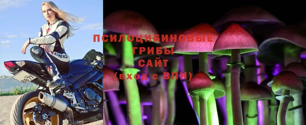 крисы Верея